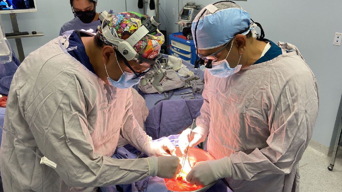 trasplantes de órganos salvan a mil 60 personas en Michoacán