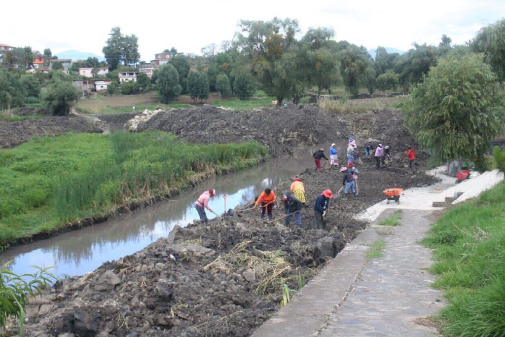 1.5 millones de árboles se plantarán cerca del lago de Pátzcuaro