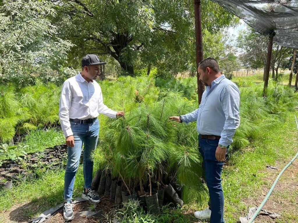 Abren convocatoria para reforestar zona urbana de Morelia