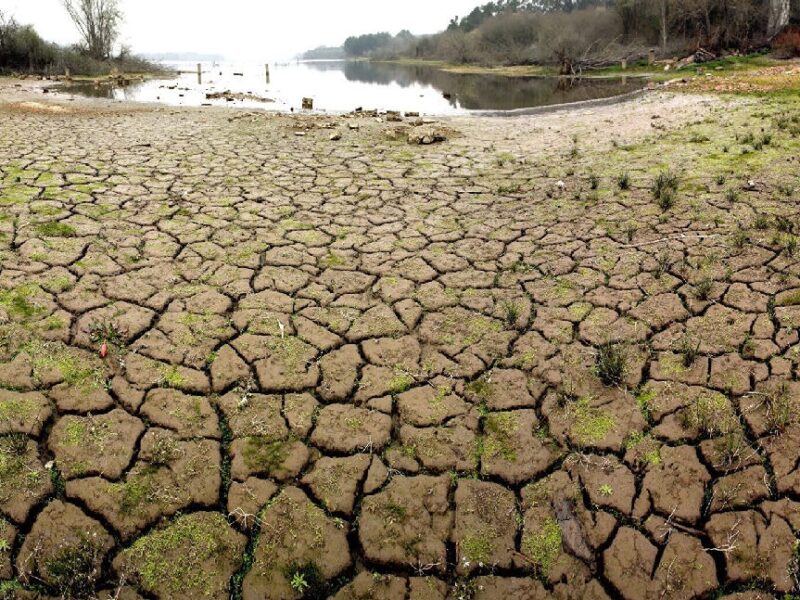 Altas temperaturas provocarán inhabitalidad climática en el planeta