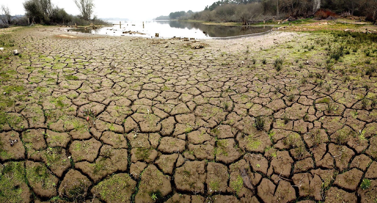 Altas temperaturas provocarán inhabitalidad climática en el planeta