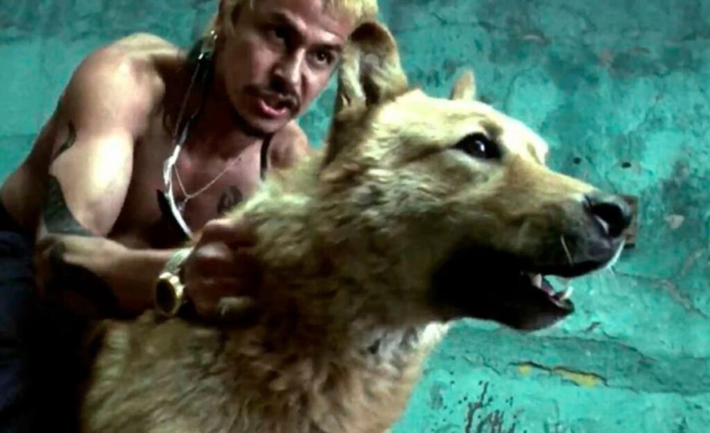 Amores Perros de Iñárritu (2000)