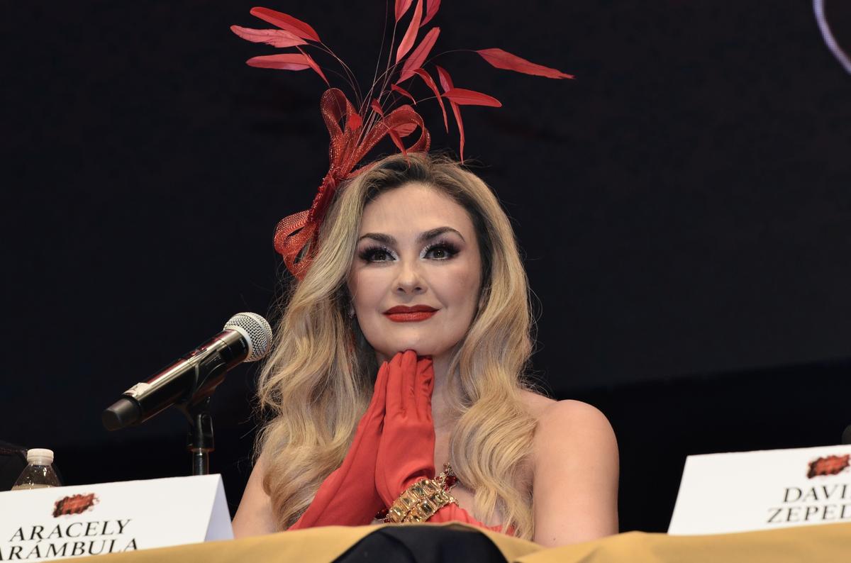 Aracely Arámbula es suegra por primera vez y comparte los detalles