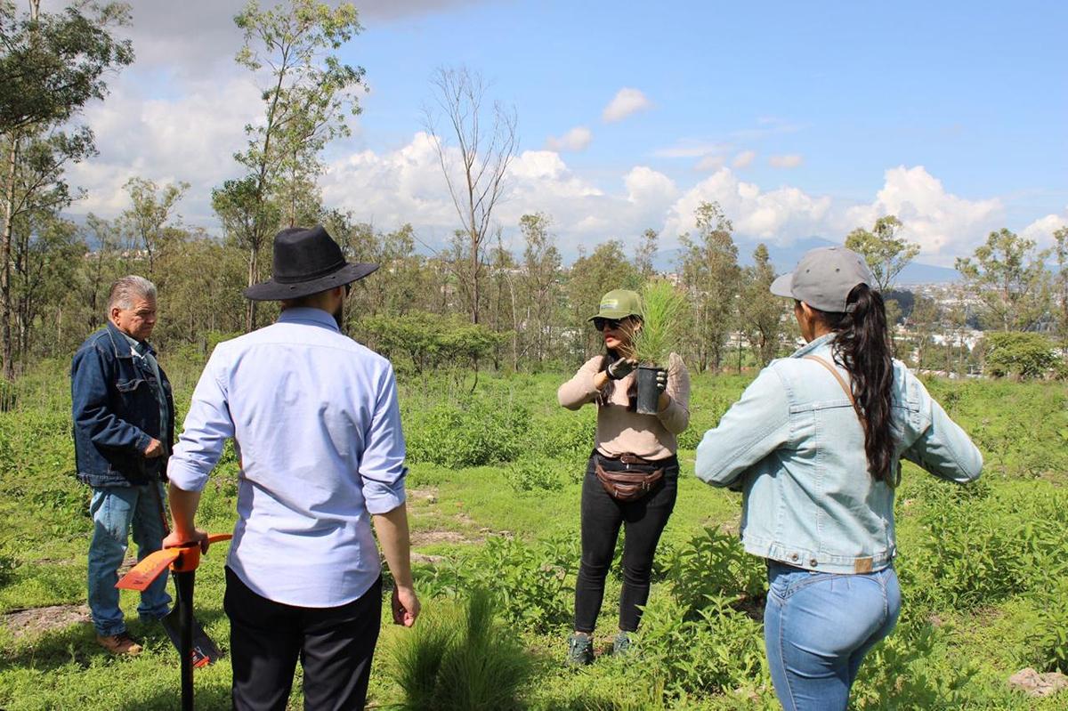 Arranca Gobierno estatal reforestación de Áreas Naturales Protegidas