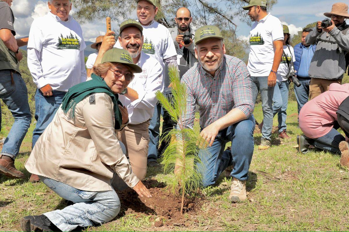 arranque reforestación simultánea municipios michoacán