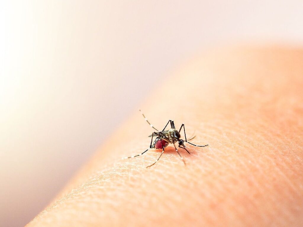 aumentan casos de dengue en Michoacan