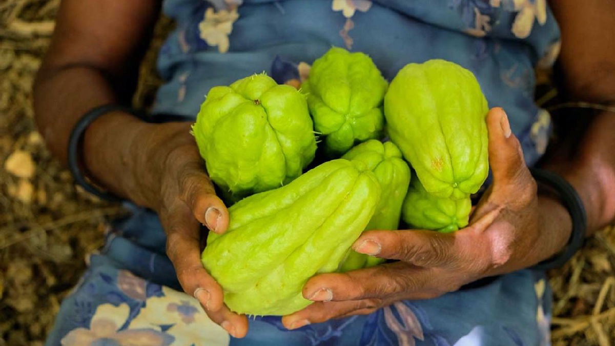 Chayote y otras verduras impulsan la inflación en México