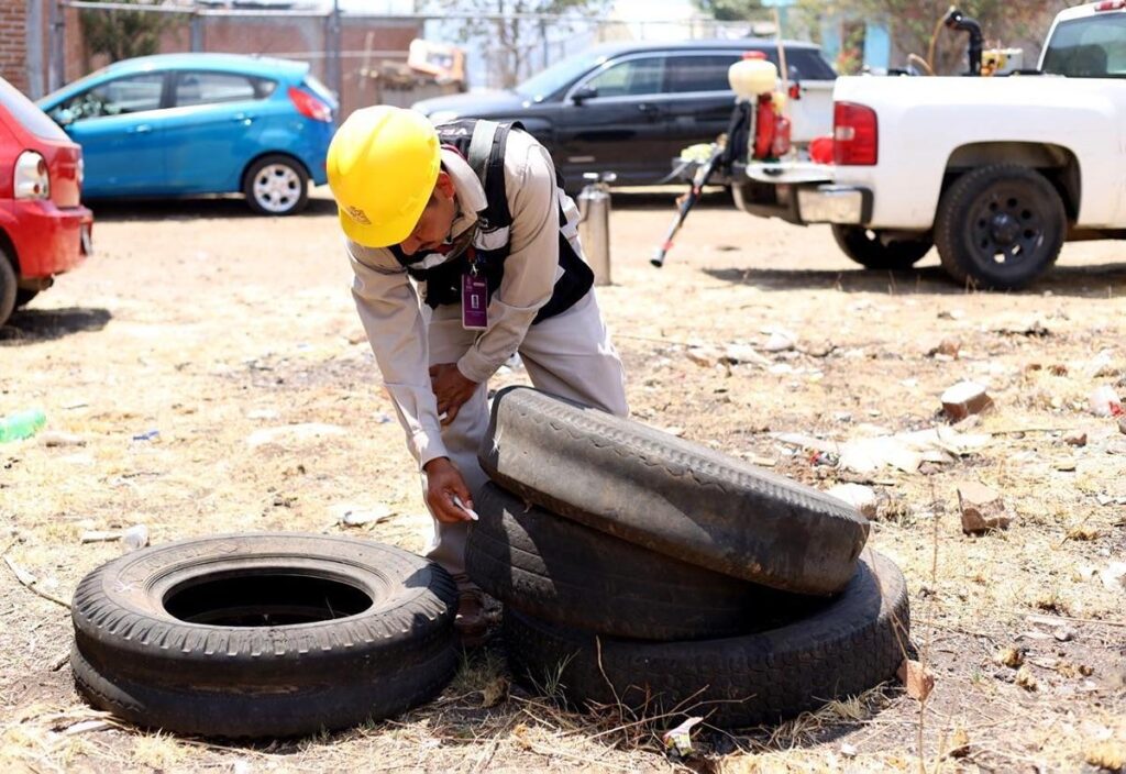 Combate al dengue en Michoacán 1