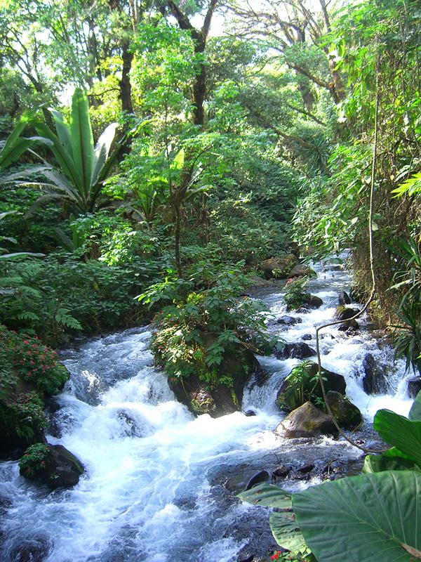 Cuál es recorrido del rio Cupatitzio - parque nacional