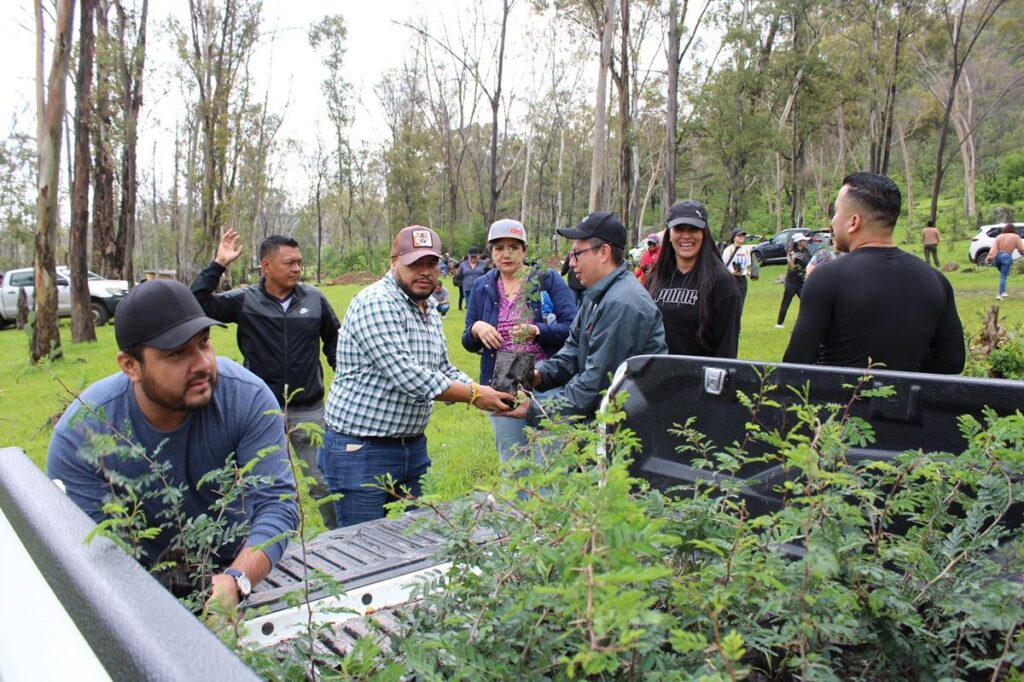 Dan reforestación a la Piedra del Indio en Morelia