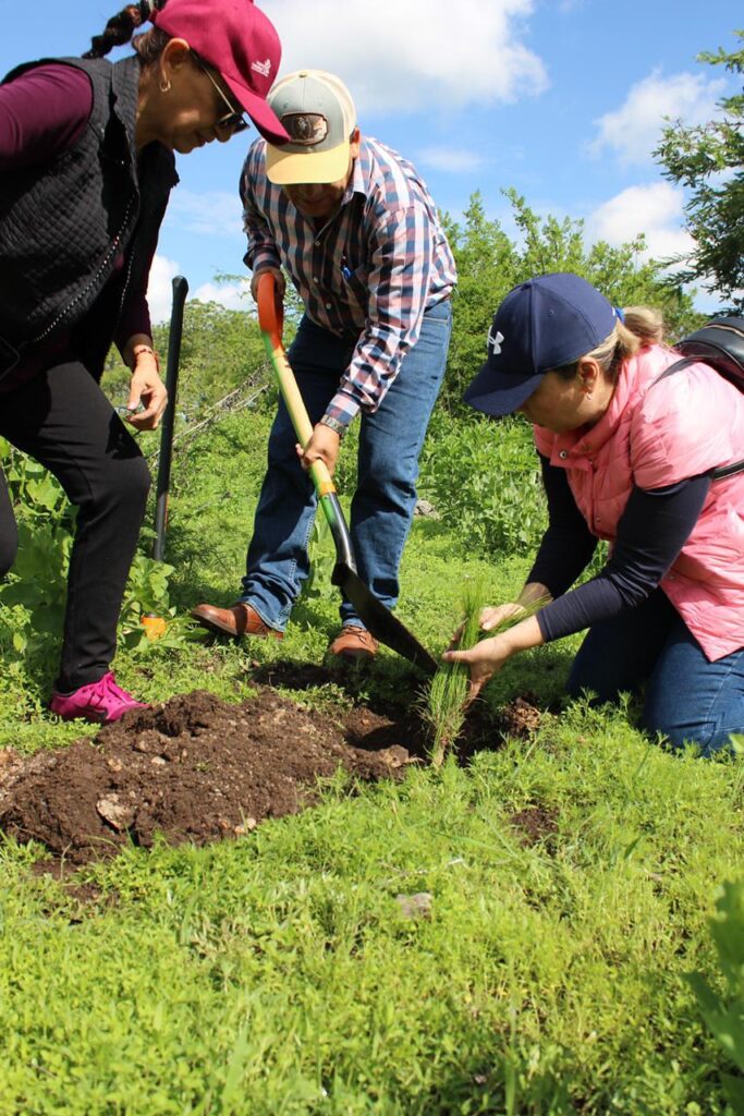 Dan reforestación a las Áreas Naturales Protegidas en Michoacán