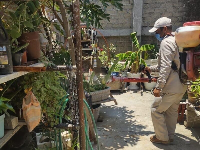 Michoacán reporta 4 defunciones por dengue y casi 2 mil casos; llaman a extremar precauciones