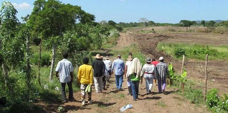 Desplazamiento forzado los reyes Michoacán