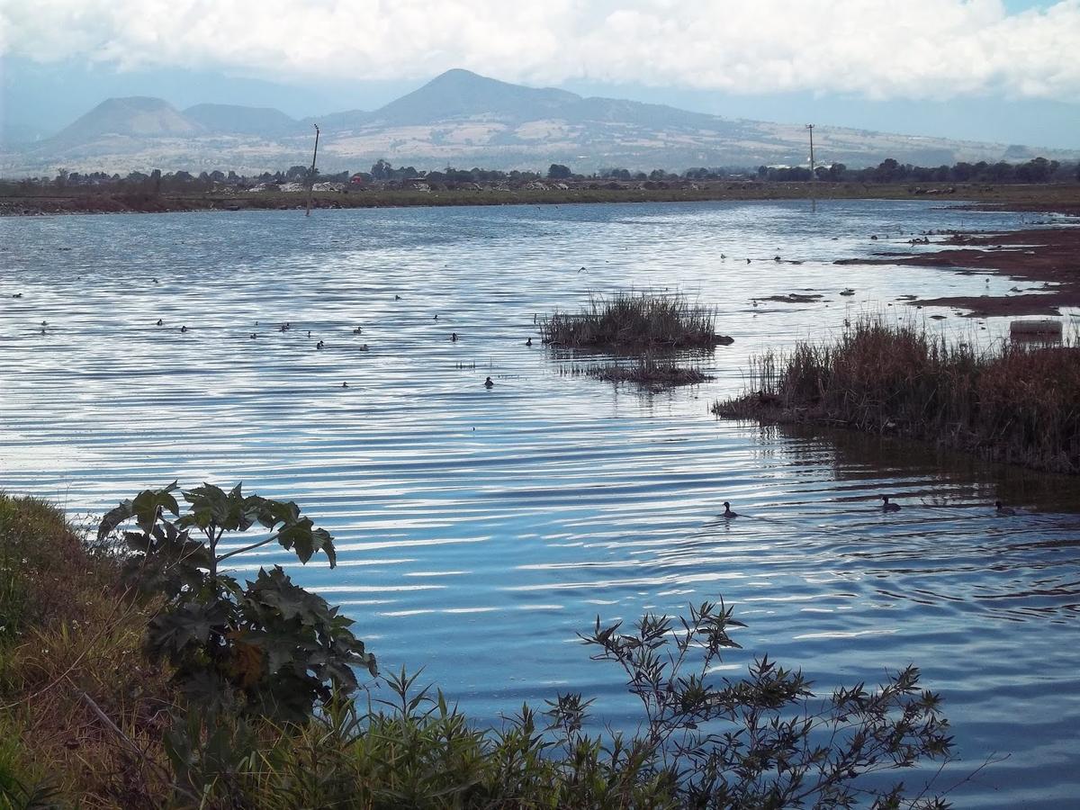 ¿Sabes a dónde desemboca el Río Grande de Morelia?