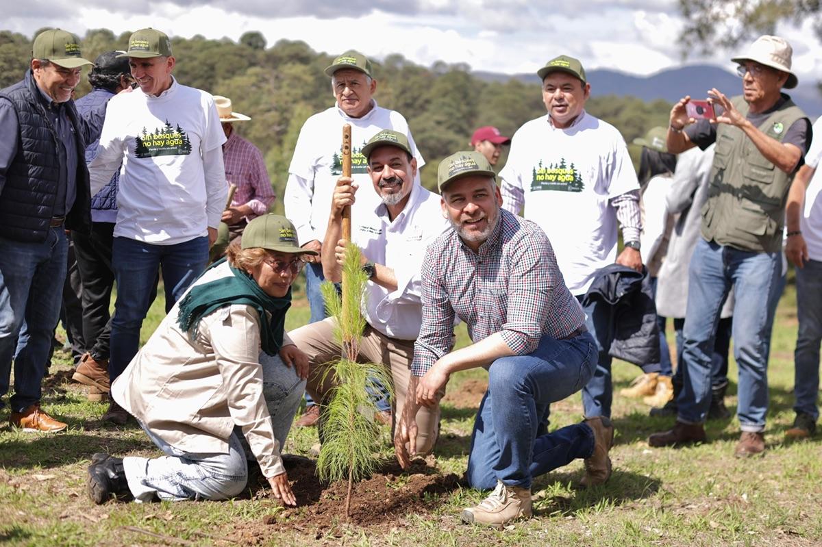 emprende Bedolla acciones de reforestación en Michoacán