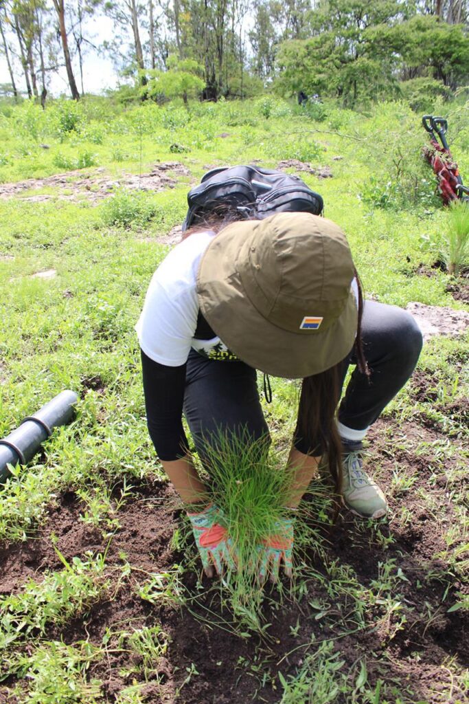 Gobierno estatal realiza reforestación de Áreas Protegidas