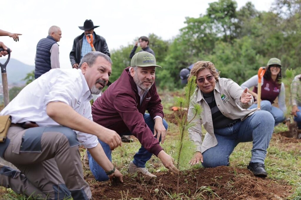 Impulsa Bedolla acciones de reforestación en el lago de Pátzcuaro