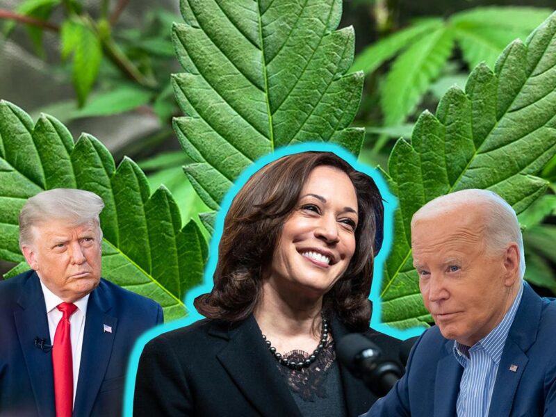Kamala Harris: Enfoque progresista sobre la legalización de la marihuana