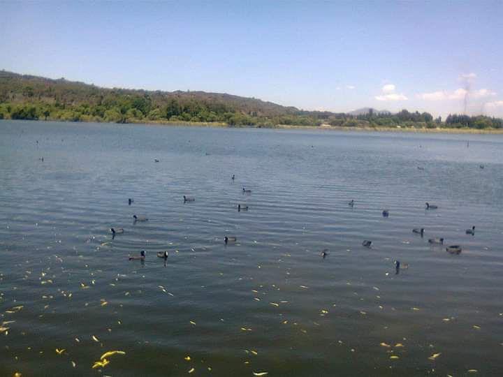 Laguna de Zacapu en Michoacán 2