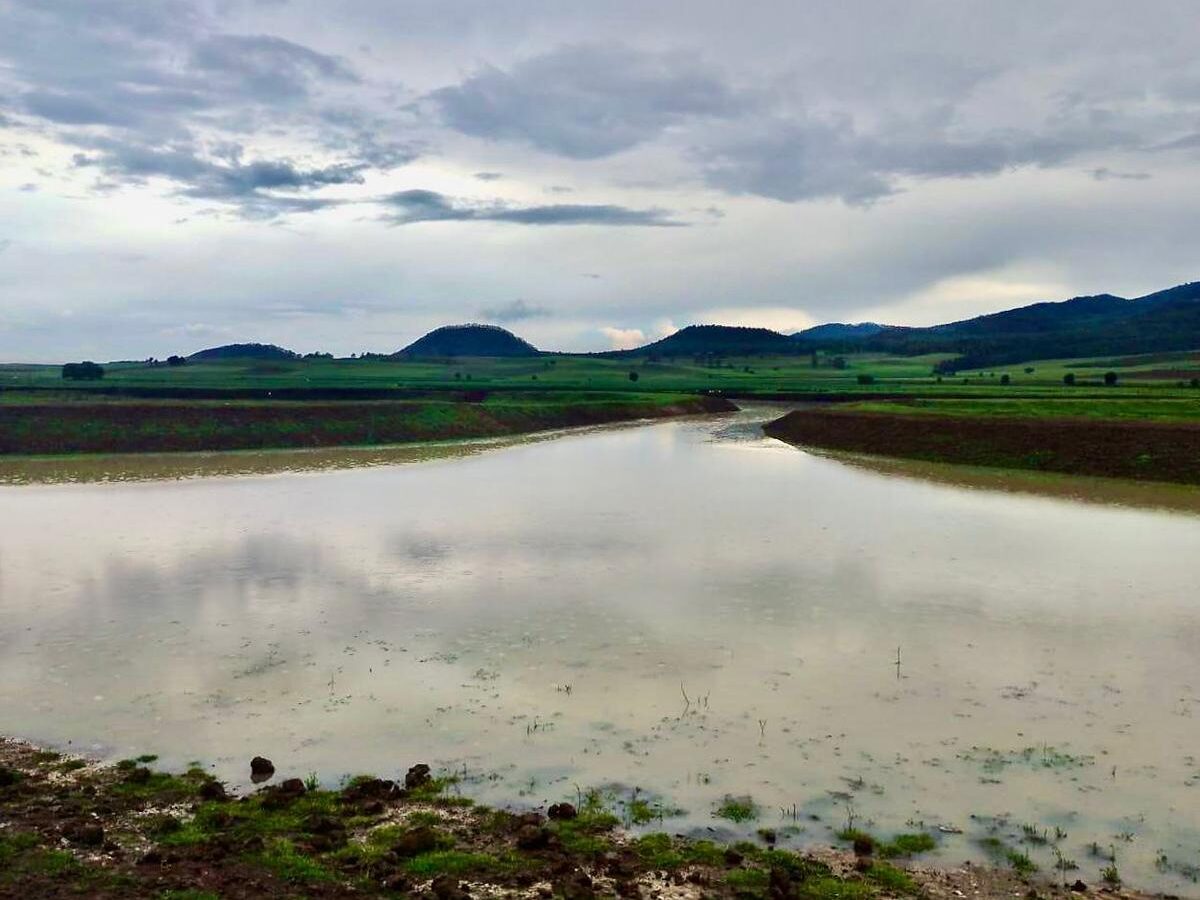 Tras labores de limpieza, renace laguna de Zinciro, en Erongarícuaro