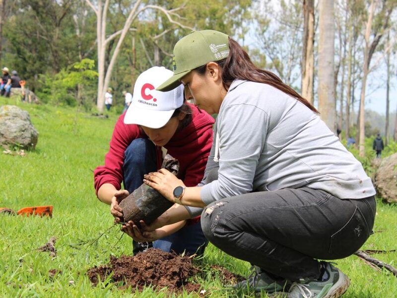 Piedra del Indio en Morelia recibe acciones de reforestación