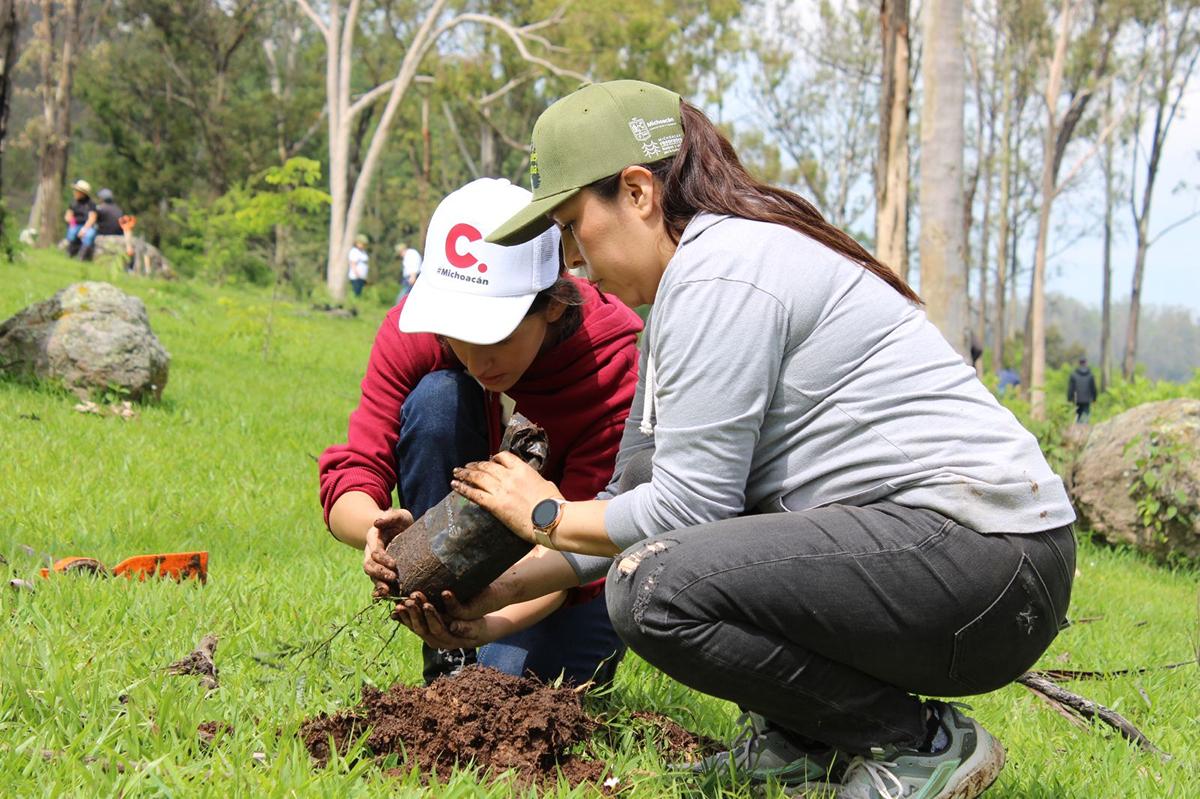 Piedra del Indio en Morelia recibe acciones de reforestación