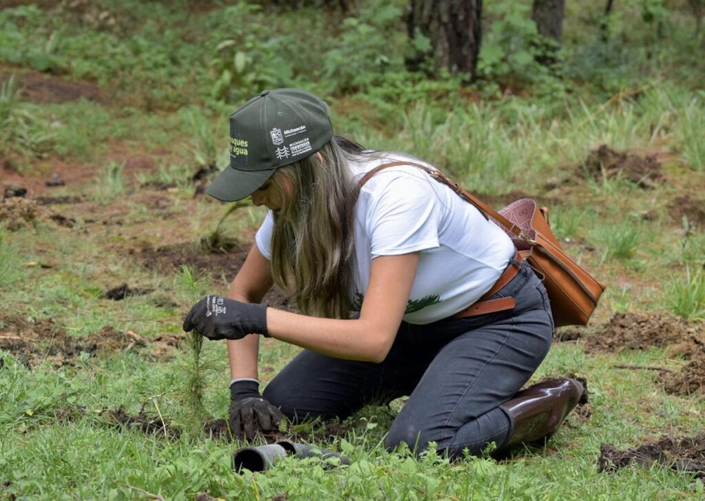 Plantación árboles área protegida los azufres 1