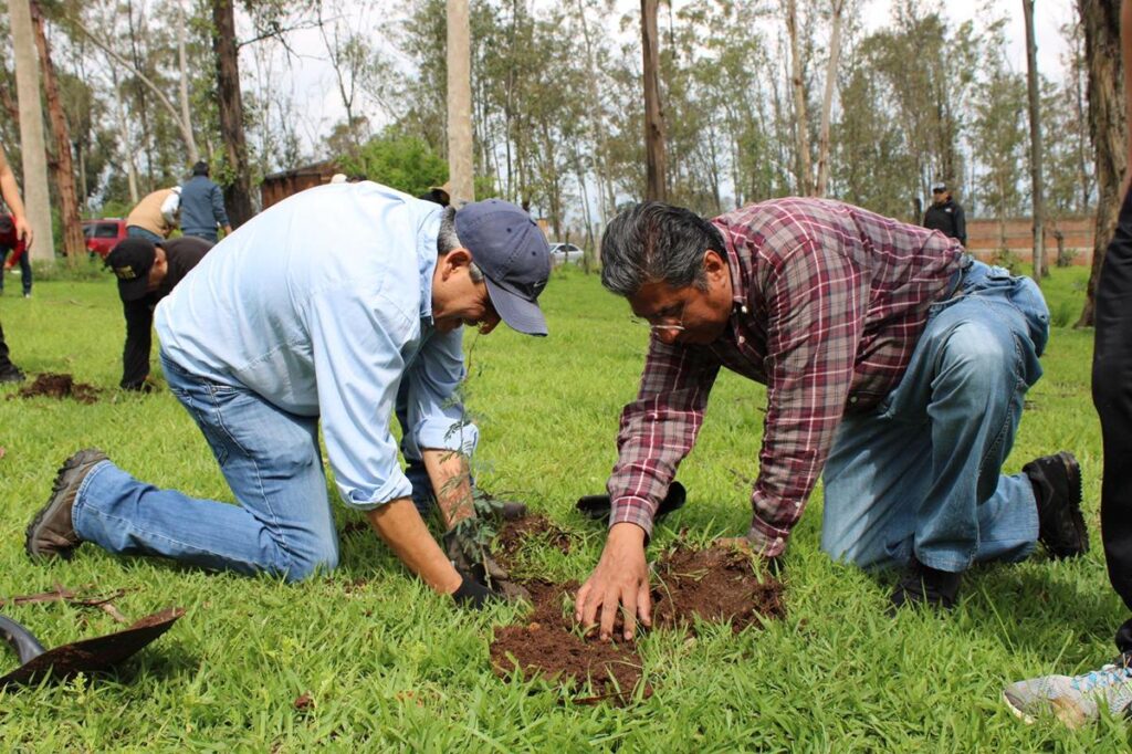 Realizan acciones de reforestación en la Piedra del Indio en Morelia