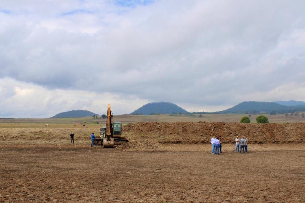 realizan acciones para revivir laguna de Zinciro