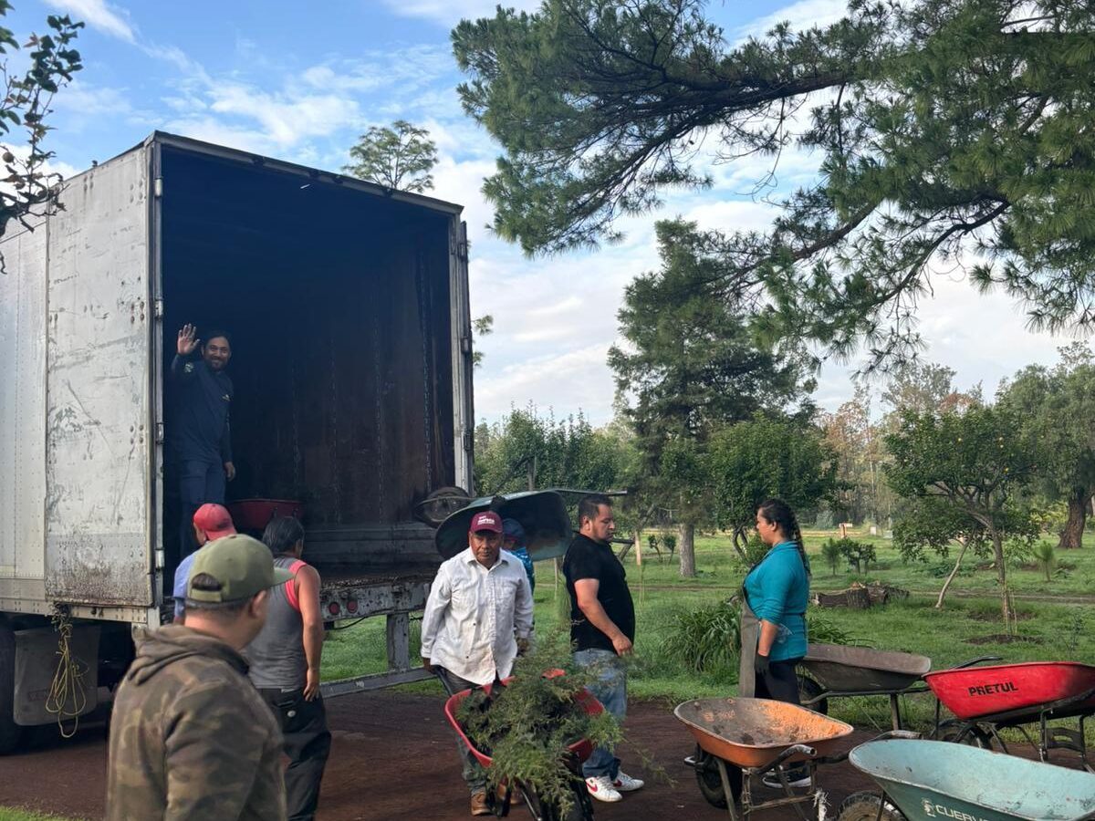 reciben plantas para reforestación en Michoacán -descargando plantas