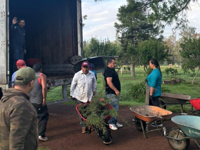 reciben plantas para reforestación en Michoacán -descargando plantas