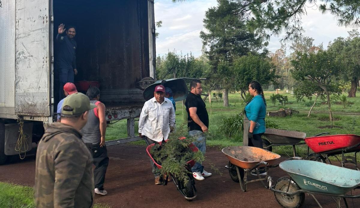 reciben plantas para reforestación en Michoacán -descargando plantas