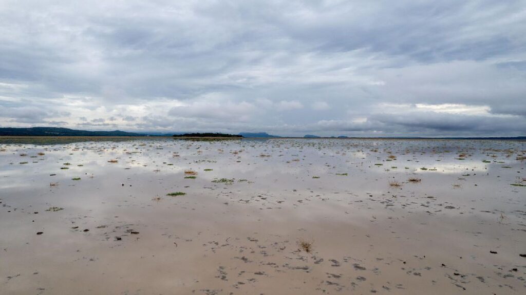 recuperación lago de cuitzeo inversión 2