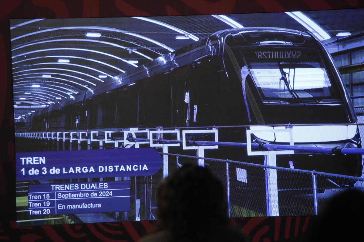 Registra más de 240 mil pasajeros operaciones del Tren Maya