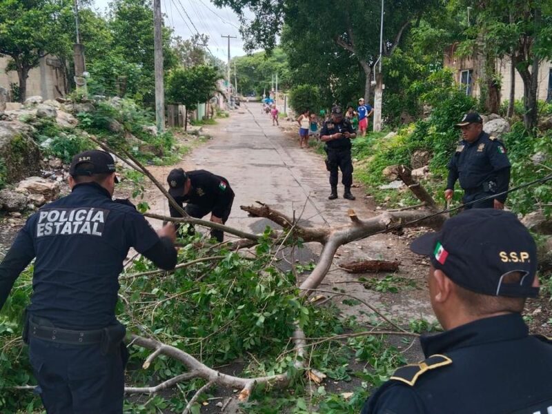 Huracán Beryl causa desastres significativos en Quintana Roo