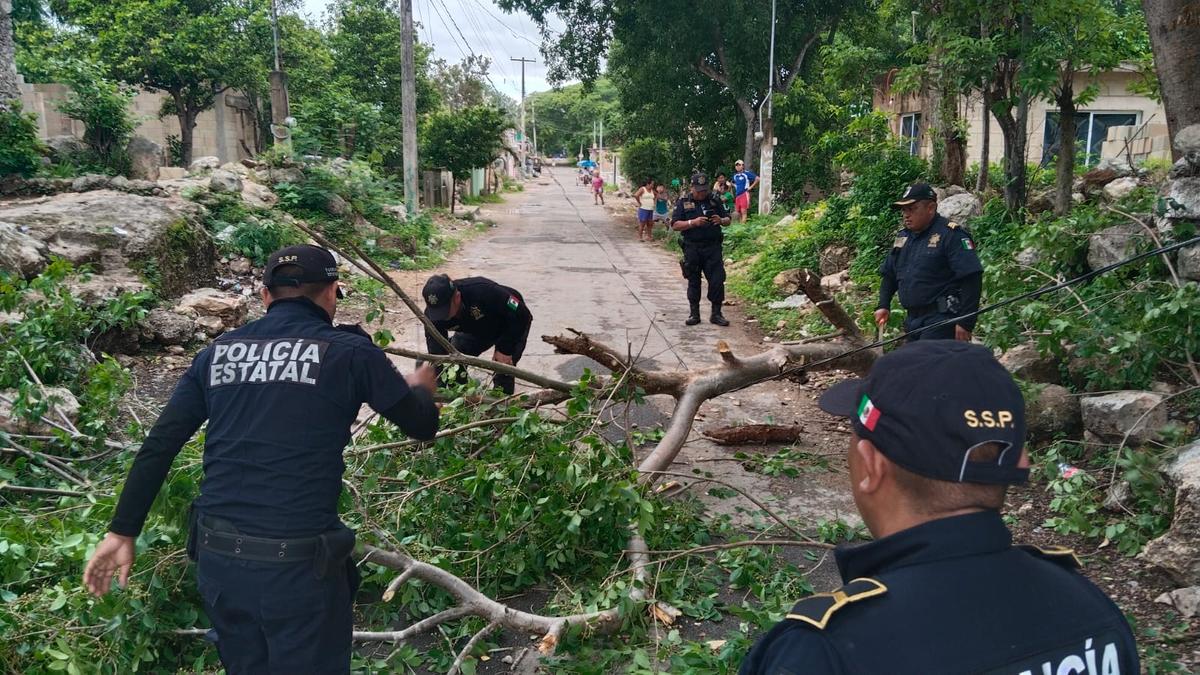 Reportan afectaciones por el paso del huracán Beryl en Quintana Roo