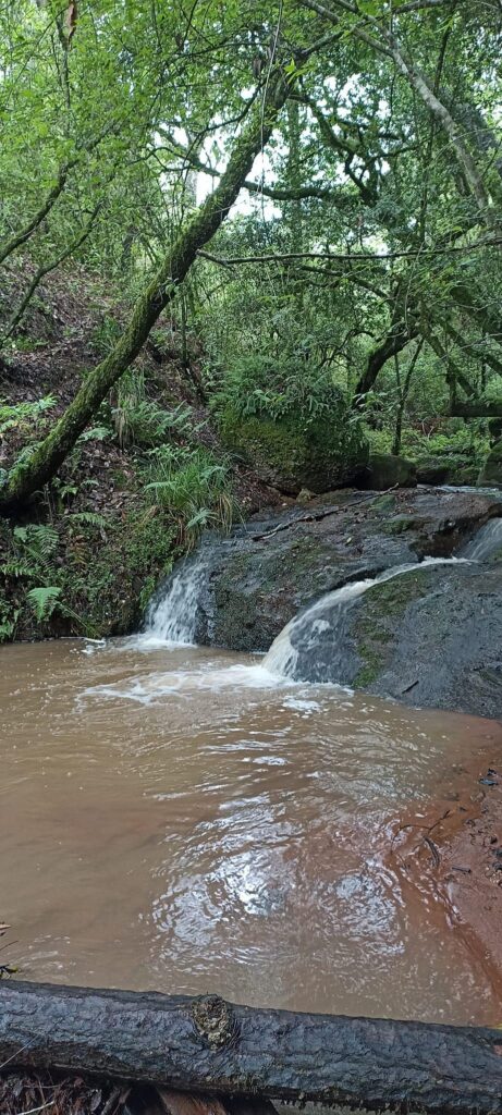 riachuelos usados en Morelia para riego de los productos agrícolas