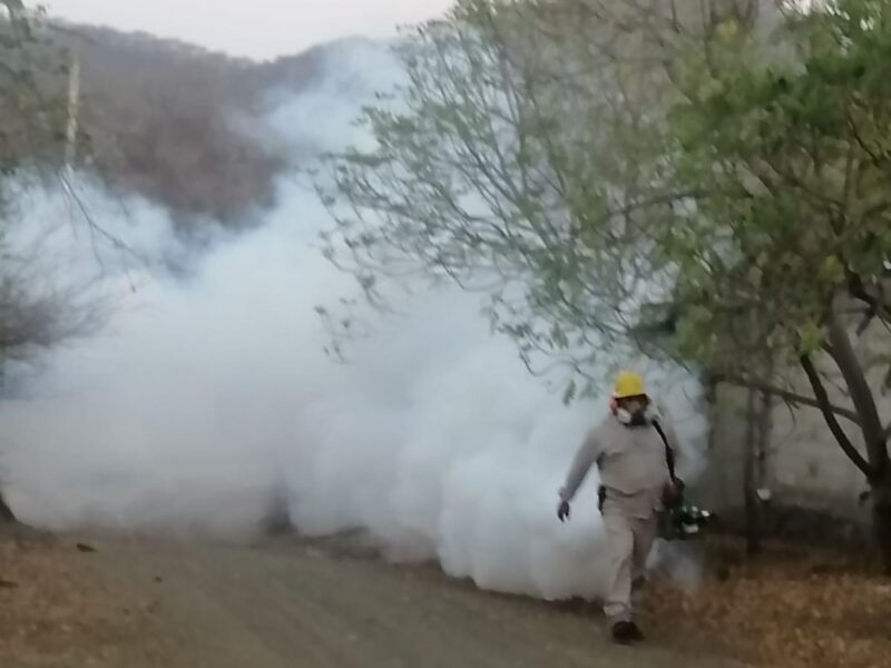 acciones de combate al dengue Michoacán