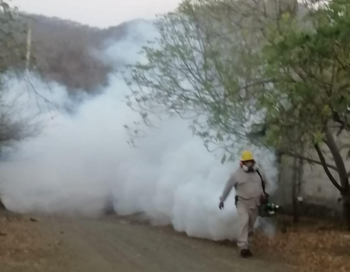 acciones de combate al dengue Michoacán