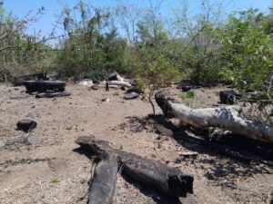 Afectaciones en Amatique | Foto. Cortesía comunidad de Huitzontla