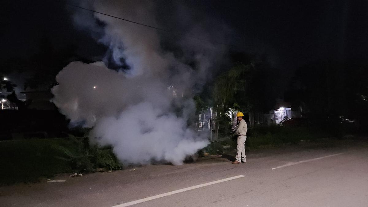 Autoridades de la SSM efectúan prevención del dengue Lázaro Cárdenas