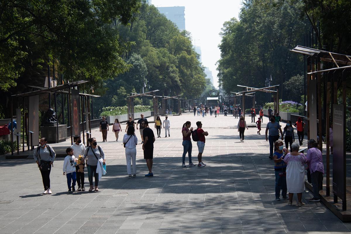 Avanza el proyecto de Chapultepec impulsado por el gobierno federal