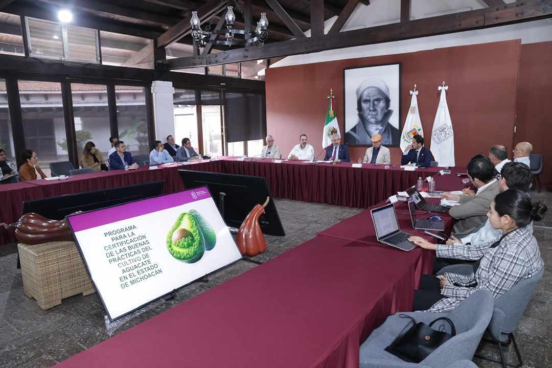 certificación voluntaria al aguacate en Michoacán