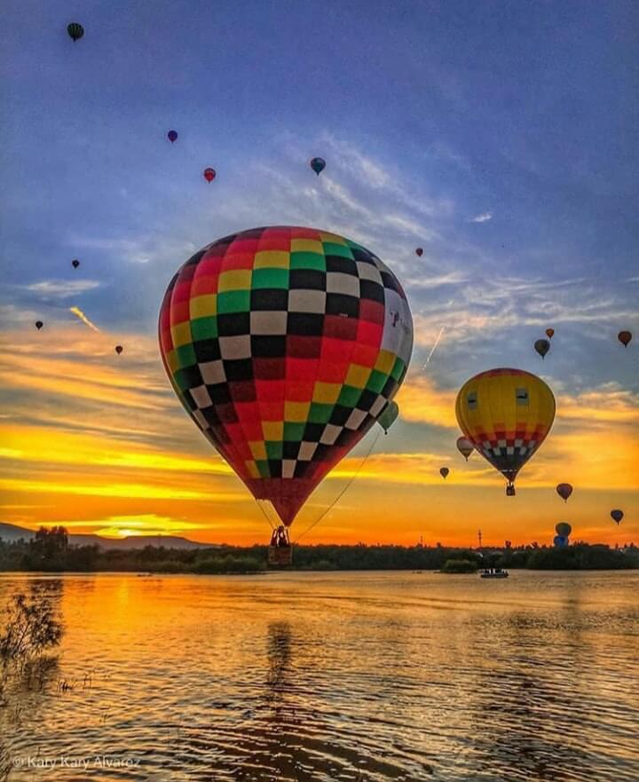 Festival Internacional Globo León 2024 6