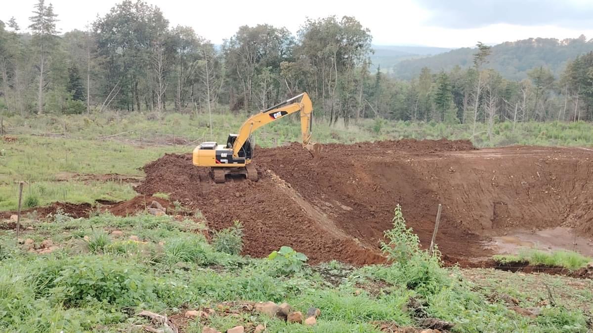 FGE Michoacán detiene a tres por tala y cambio de uso de suelo