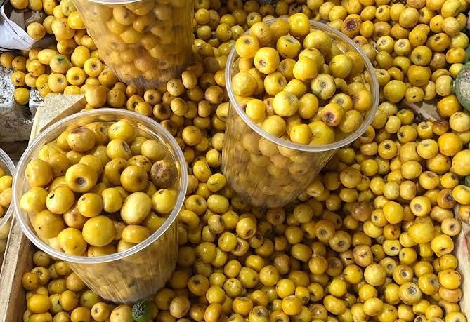 Fruta de oro; nanche está repleta de colágeno y hace desaparecer las arrugas