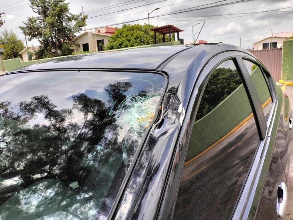 incidente en Morelia por caída de árbol - daños menores