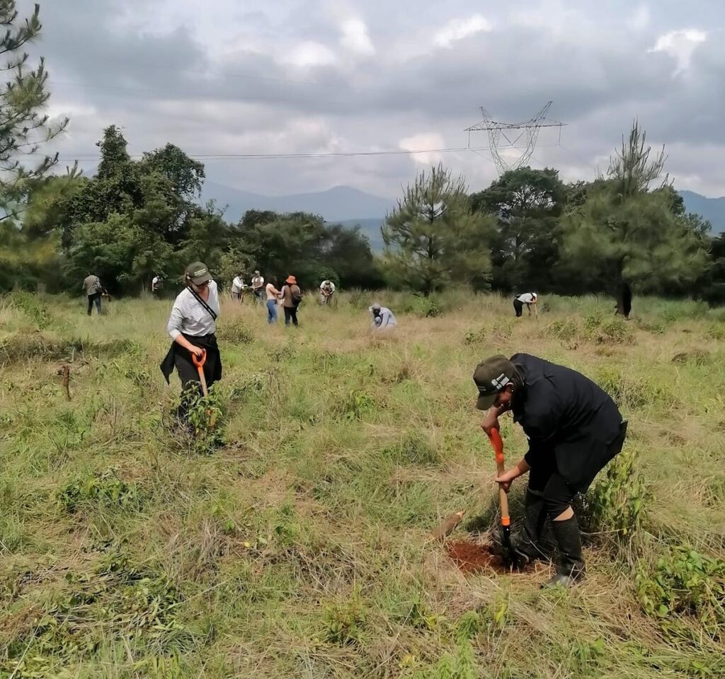 Inicia la reforestación en Michoacán - acciones