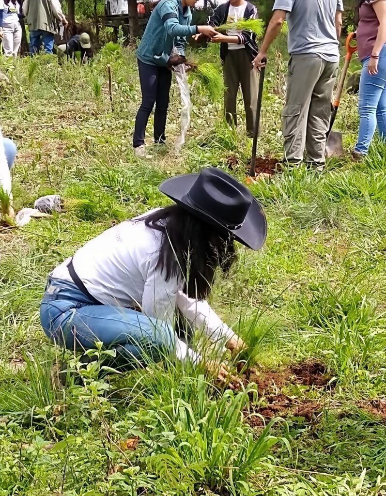 Inicia la reforestación en Michoacán - voluntarios