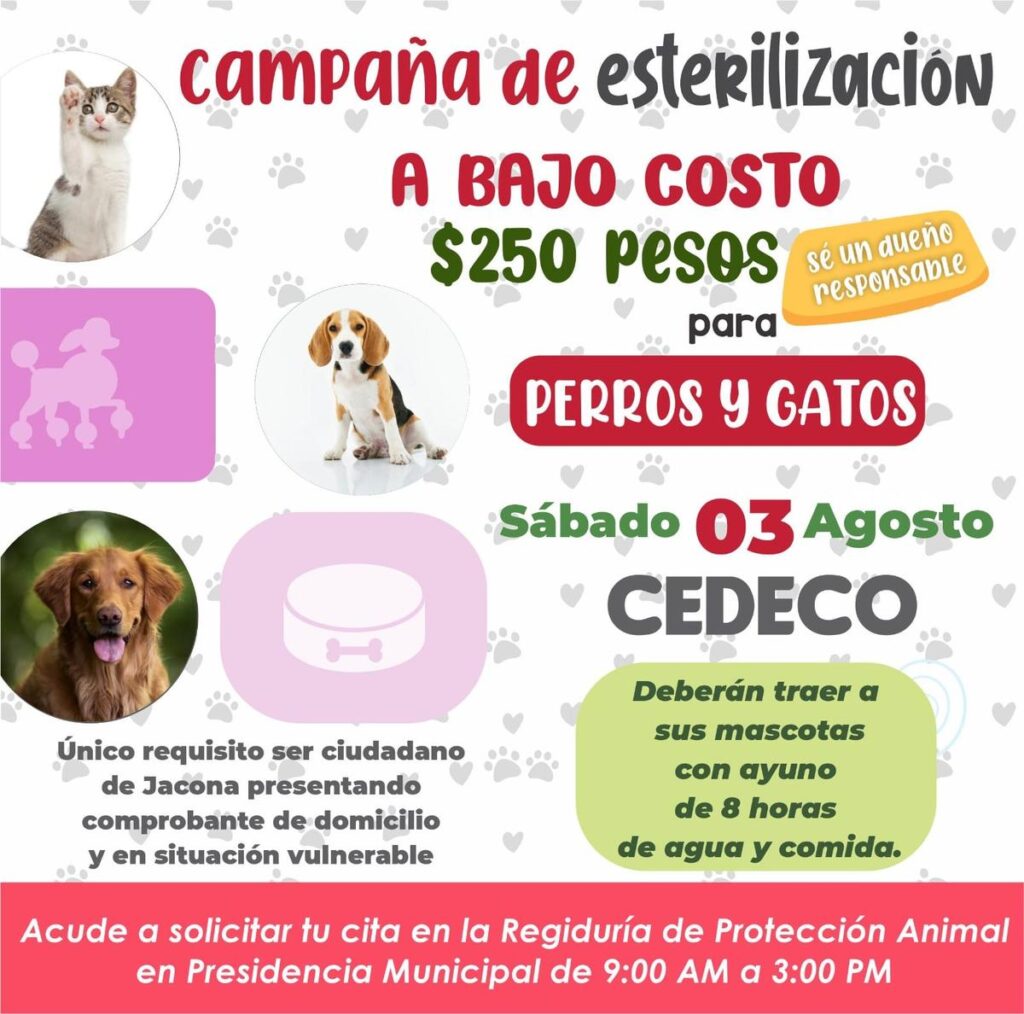 Lanzan campaña en Jacona, Michoacán para esterilizar mascotas